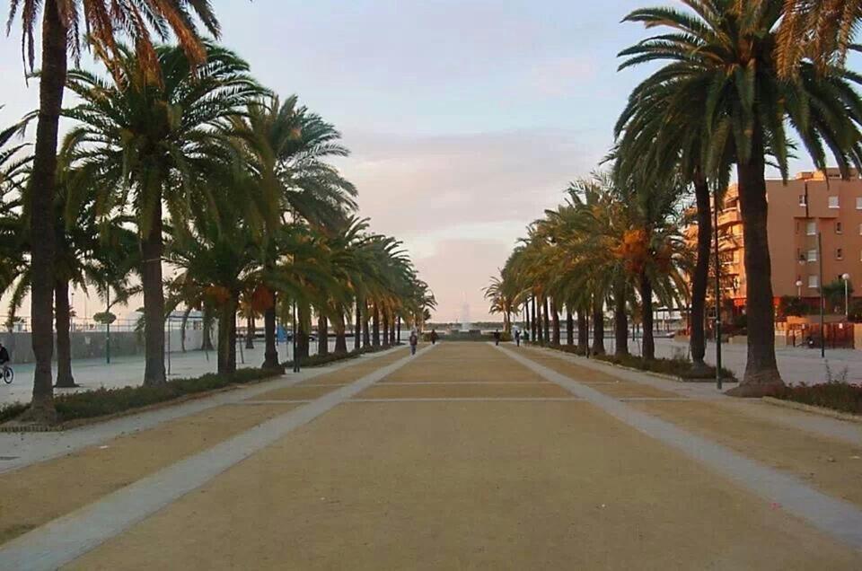 Convento De La Victoria Junto Al Cabildo Con Wifi Y Parking Gratis Apartment Sanlucar de Barrameda Luaran gambar
